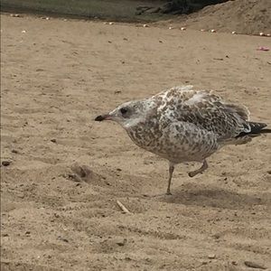 Meet your Posher, Alison